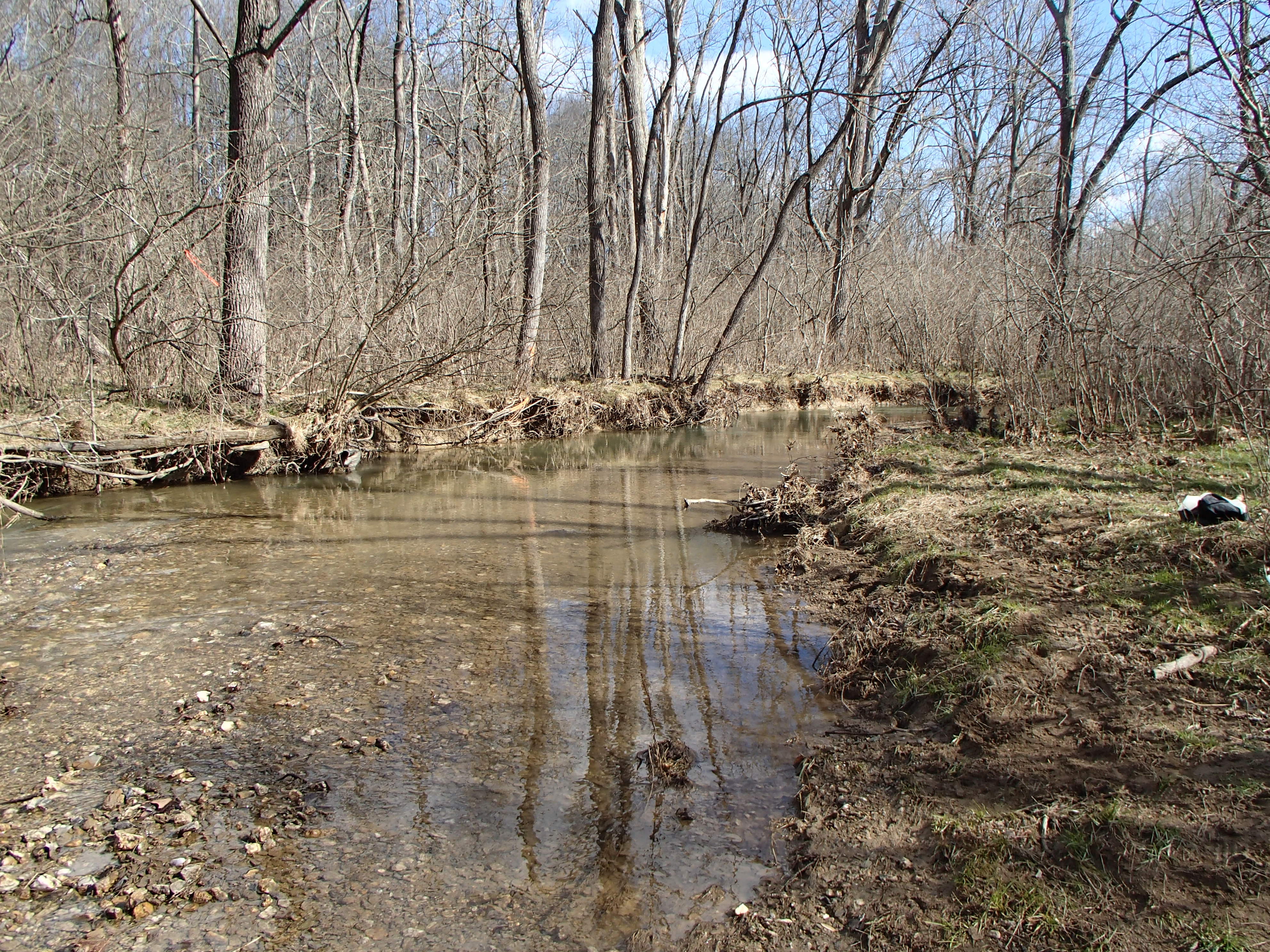 Field photo showing stream conditions at site DOUB-218-R-2016_midpoint upstream